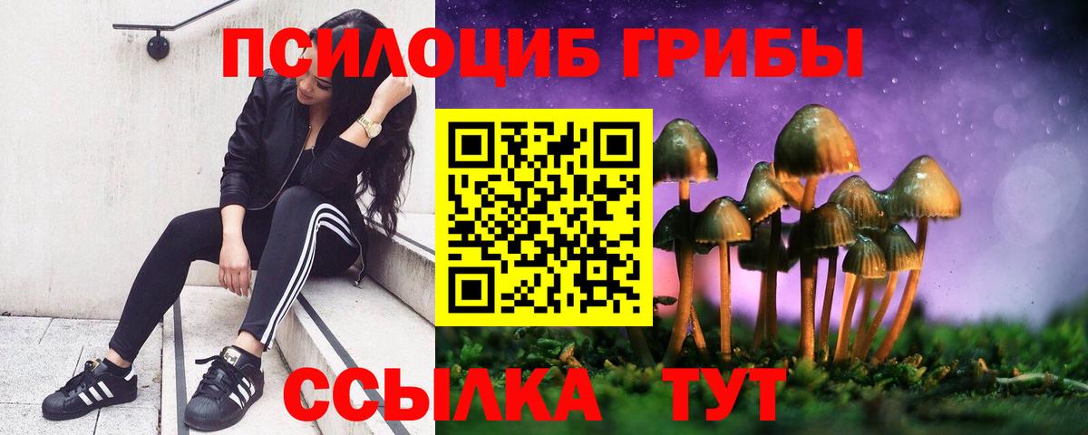 Галлюциногенные грибы прущие грибы  Псилоцибиновые грибы GOLDEN TEACHER  Вход с VPN  Нурлат 